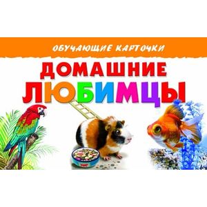 Домашние любимцы