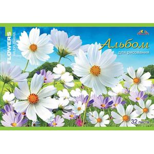 Альбом для рисования 32 листа 'Космея'