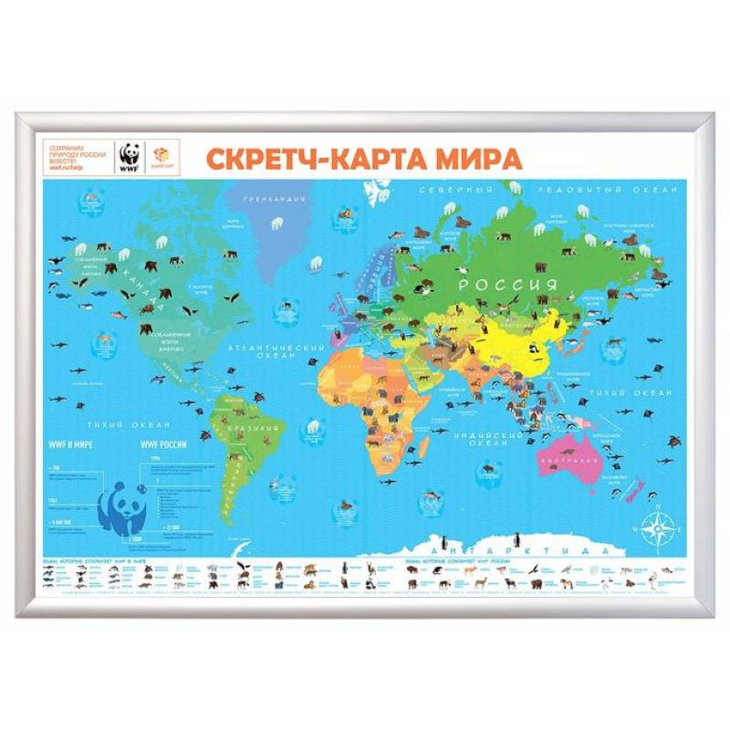 Скретч-карта мира А1 'WWF. Orange Edition'