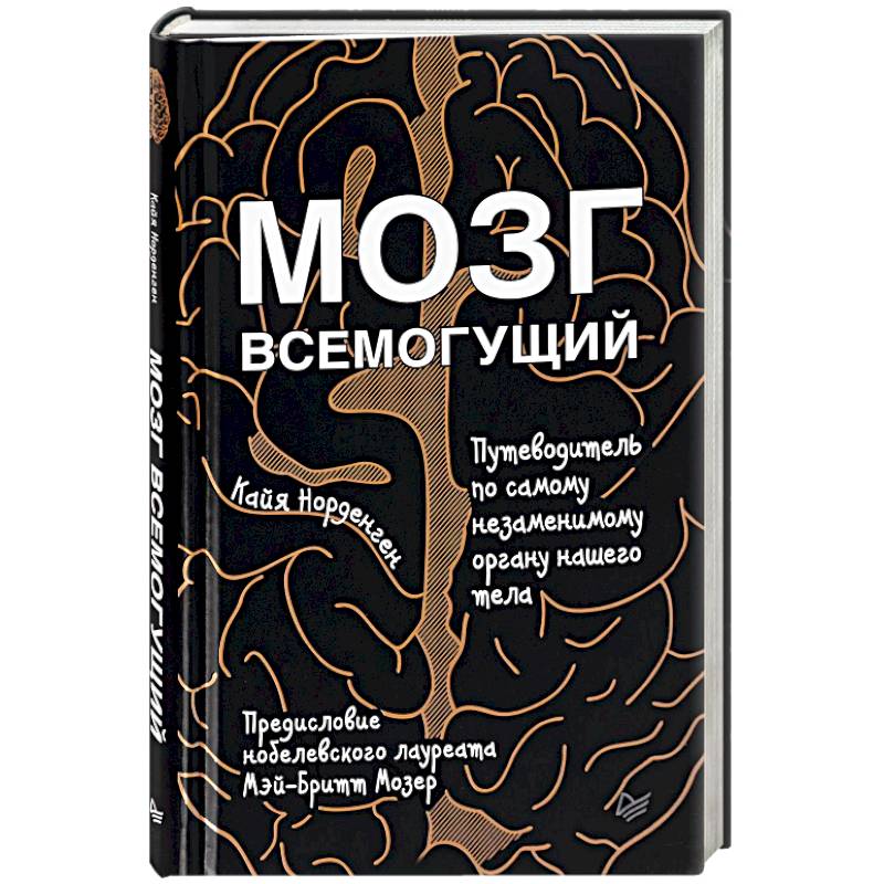 Мозг всемогущий. Путеводитель по самому незаменимому органу нашего тела