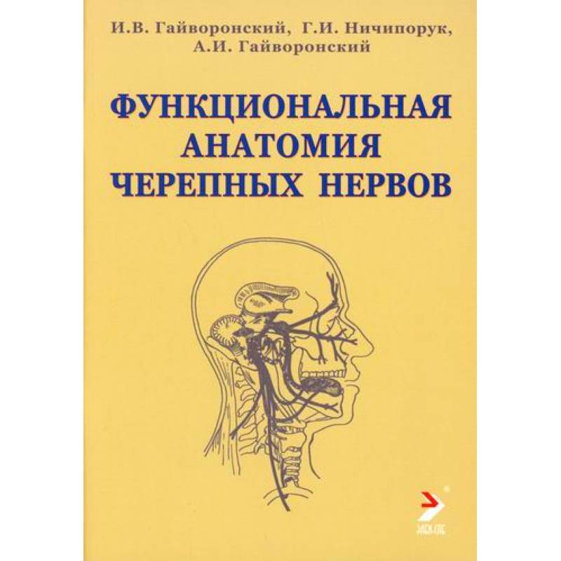 Функциональная анатомия черепных нервов