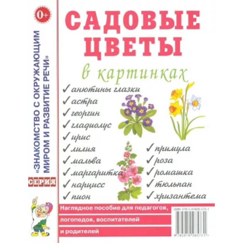 Садовые цветы в картинках