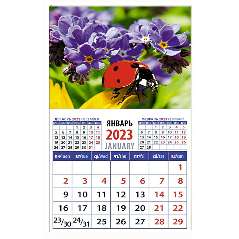 Календарь Божья коровка и незабудки, на 2023 год
