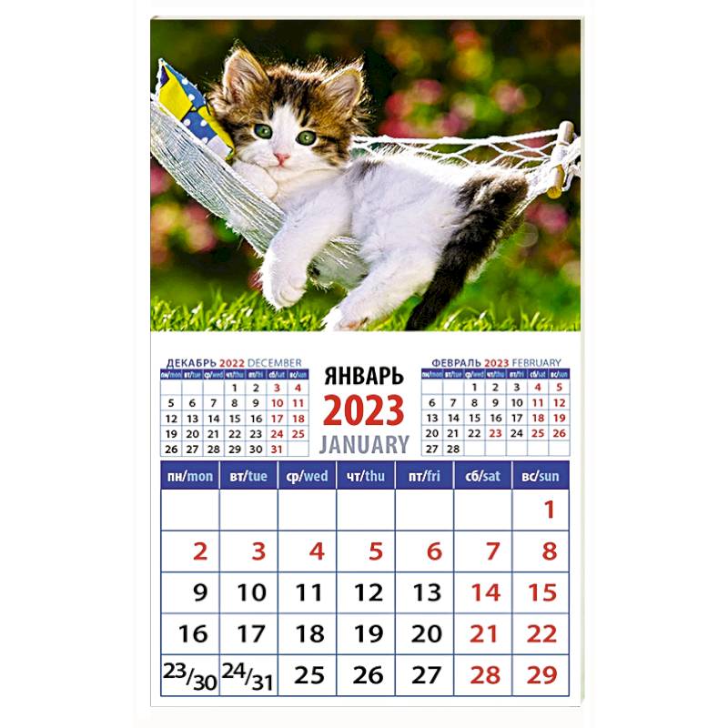 Календарь Год кота. Отдых в гамаке на 2023 год
