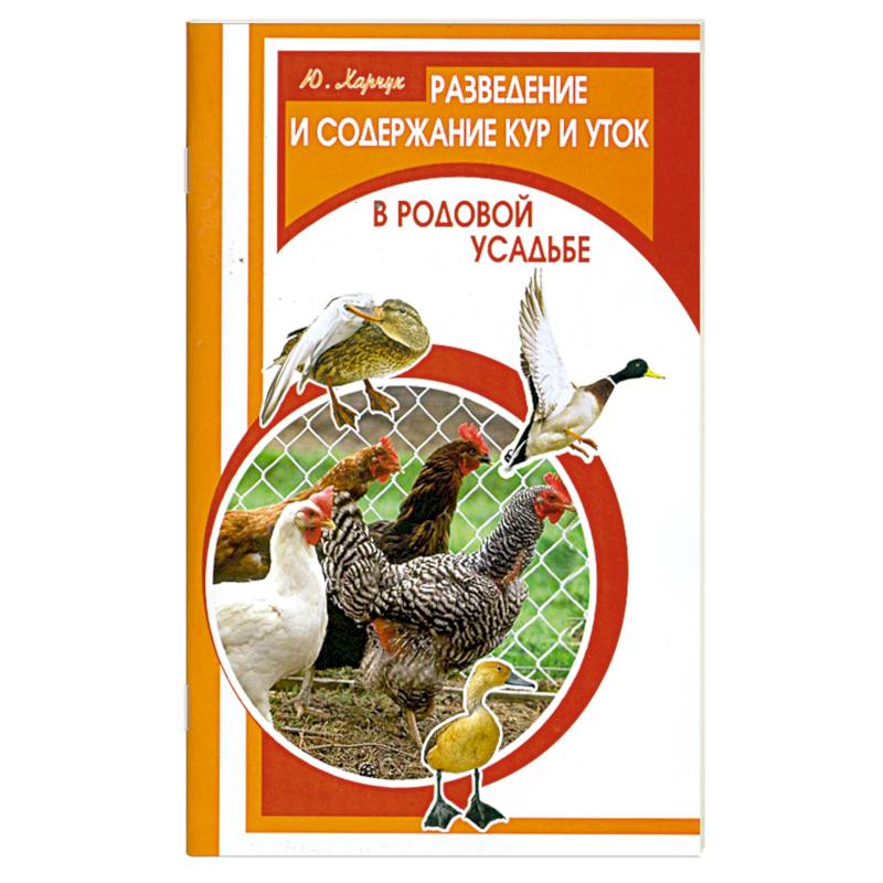 Можно ли держать кур и уток вместе в одном сарае птичнике зимой и летом 🐔🦆