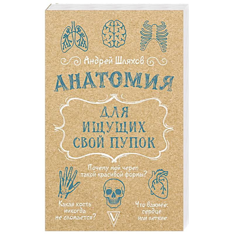 Анатомия для ищущих свой пупок