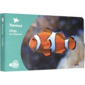 Мир на ладошке. Рыбы (24 карточки)