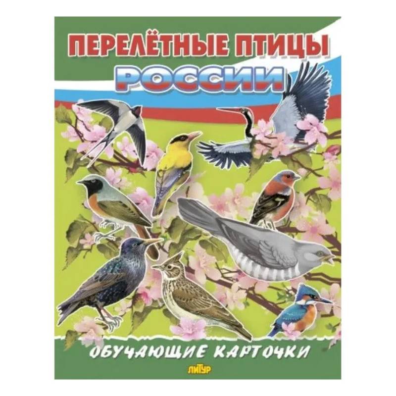 Перелетные птицы России