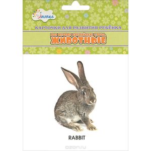 Мои первые английские слова. Карточки для развития ребенка