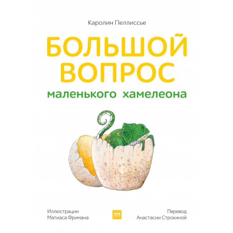 Большой вопрос маленького хамелеона