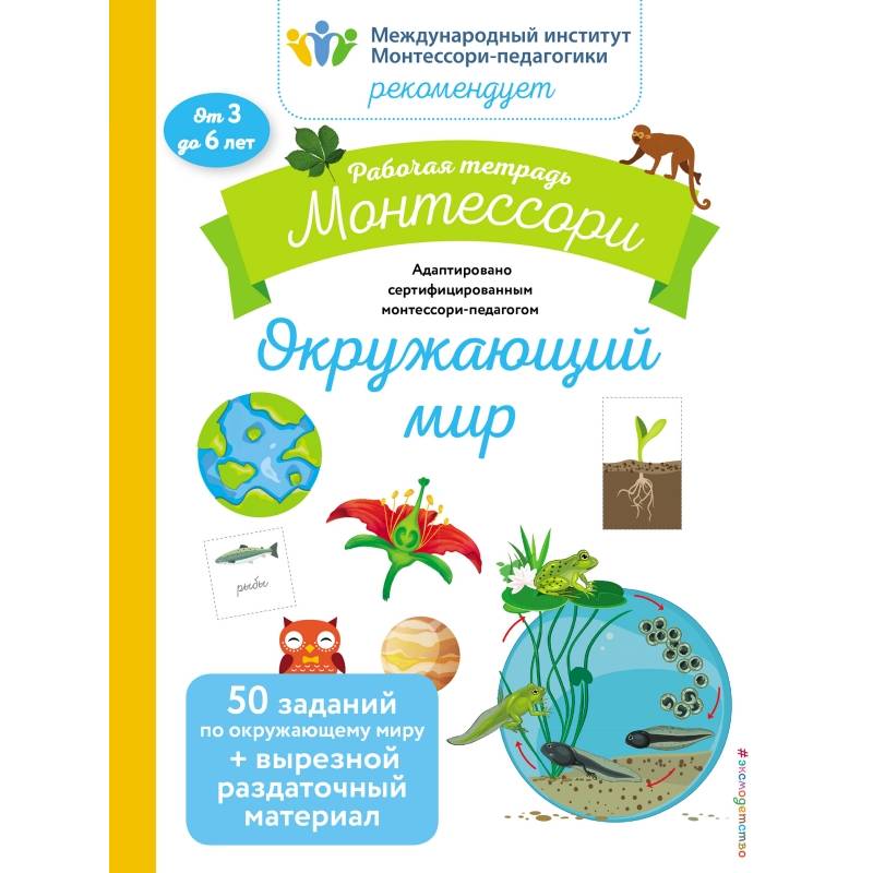 Окружающий мир. Рабочая тетрадь Окружающий мир. Рабочая тетрадь