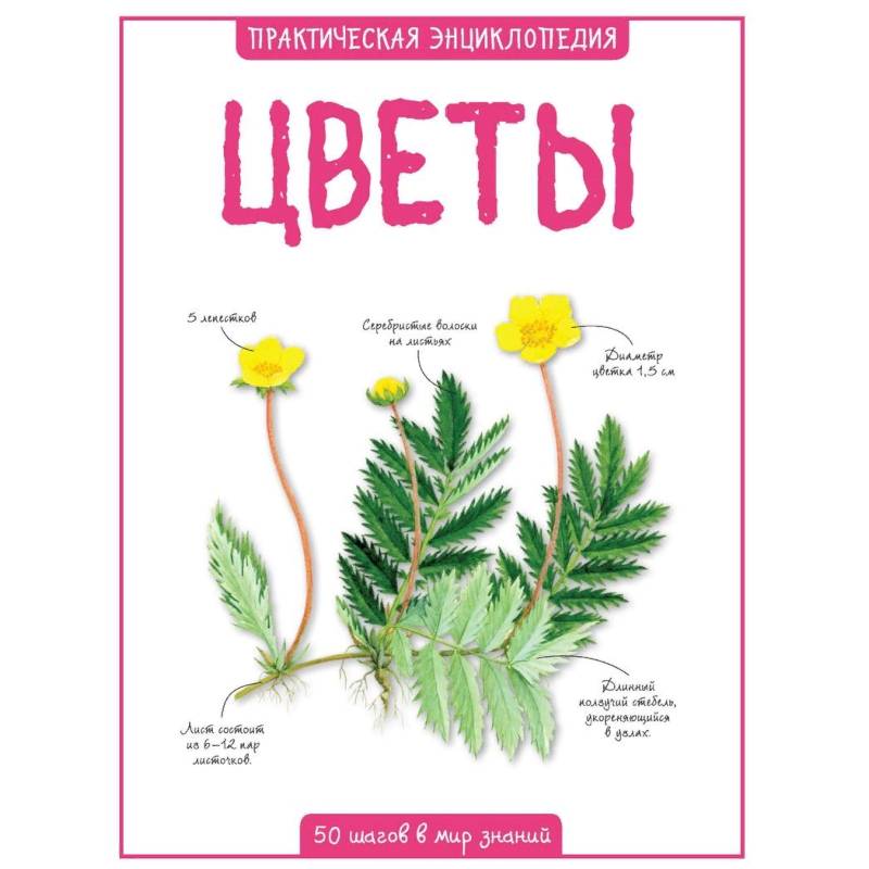 Цветы. Практическая энциклопедия