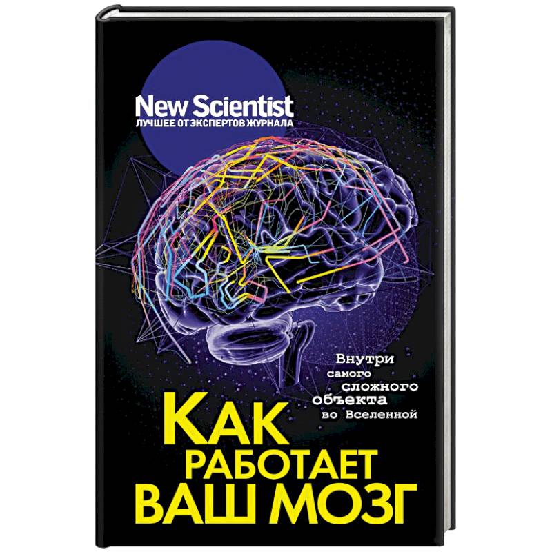 Как работает ваш мозг