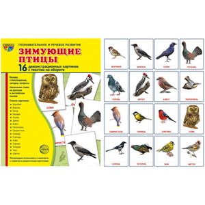 Зимующие птицы. Демонстрационные картинки (набор из 16 карточек)