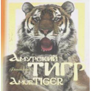 Амурский тигр. Фотоальбом Амурский тигр. Фотоальбом