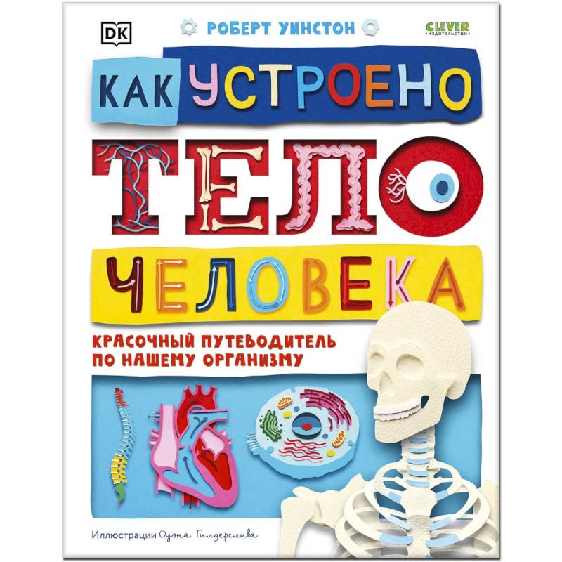 Как устроено тело человека. Красочный путеводитель по нашему организму