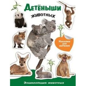 Энциклопедия животных с накл. Детеныши животных