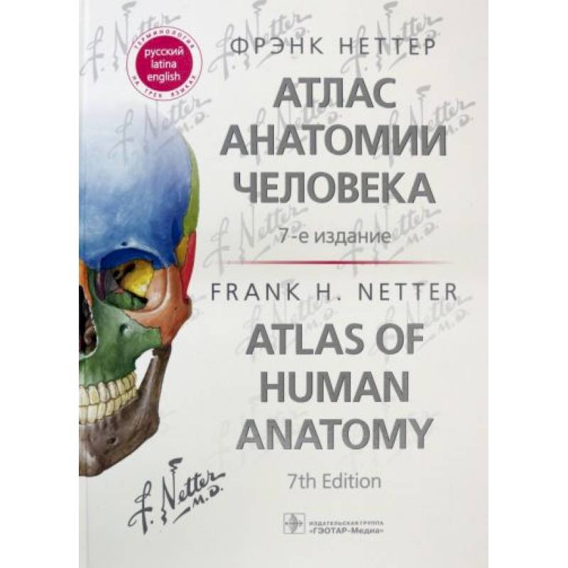 Атлас анатомии человека