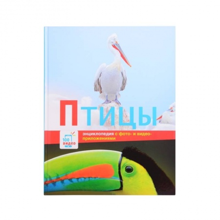 Животный и растительный мир, книга Птицы купить по скидке