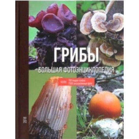 Грибы. Справочники. Определители, книга Грибы купить по скидке