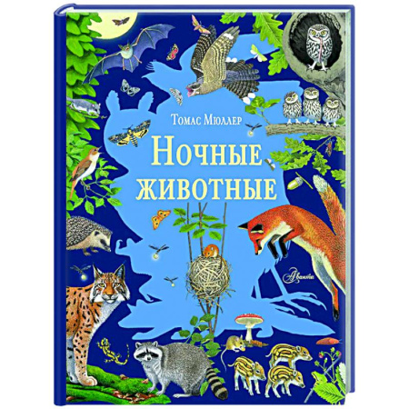 Животный и растительный мир, книга Ночные животные купить по скидке