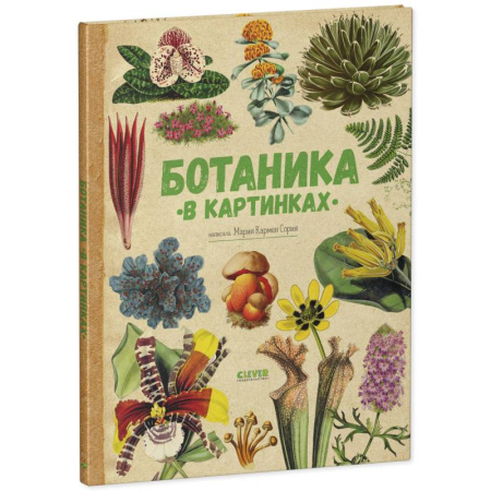 Животный и растительный мир, книга Ботаника в картинках купить по скидке