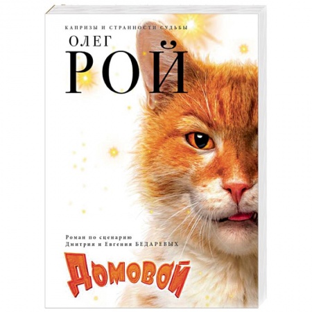 Отечественный любовный роман, книга Домовой купить по скидке