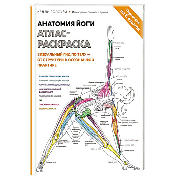 Анатомия йоги: атлас-раскраска. Визуальный гид по телу — от структуры к осознанной практике