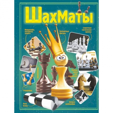 Дополнительные учебные пособия, книга Шахматы купить по скидке