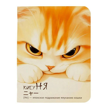 Блокнот КисуНя (котик хмурится)