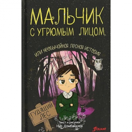 Сказки зарубежных писателей, книга Мальчик с угрюмым лицом, или необычайная лесная история купить по скидке