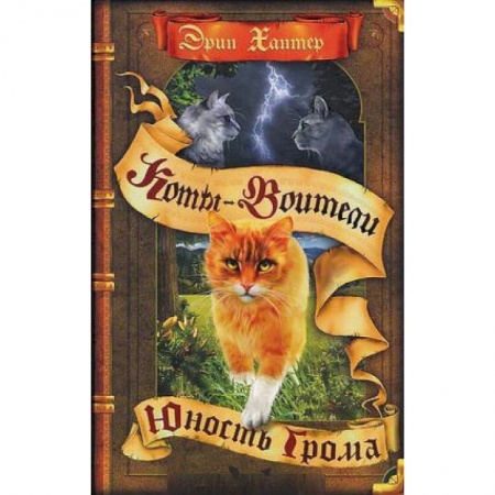 Мистика. Фантастика. Фэнтези, книга Коты-воители. Юность Грома купить по скидке