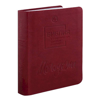 Библия для молодежи в современном русском переводе