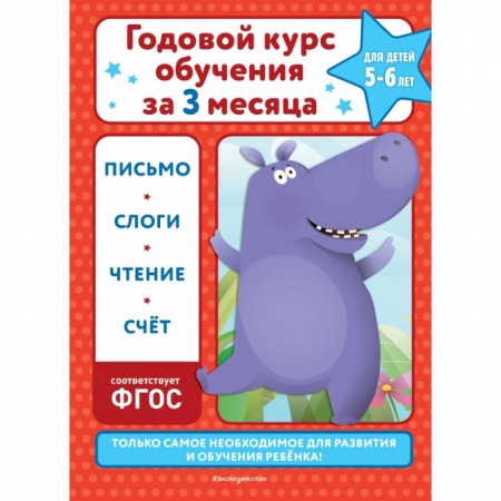 Общая подготовка к школе, книга Годовой курс обучения за три месяца: для детей 5-6 лет купить по скидке
