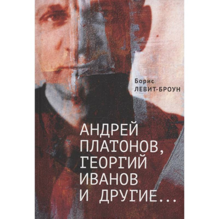 Литературоведение, книга Андрей Платонов, Георгий Иванов и другие... Очерки, эссе,этюды купить по скидке