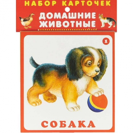 Знакомство с миром, развитие малыша, книга Набор карточек. Домашние животные купить по скидке