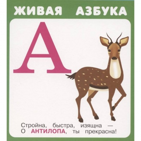 Азбука. Букварь, книга Живая азбука. Набор карточек купить по скидке