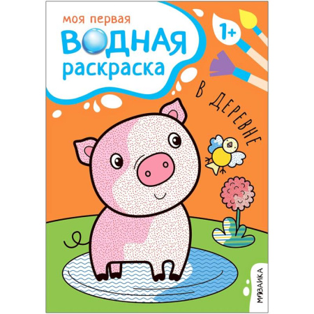 Водные раскраски, книга В деревне купить по скидке