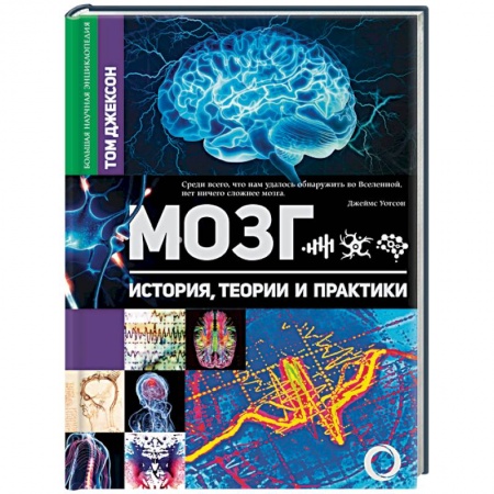 Анатомия и физиология человека, книга Мозг. История, теории и практики купить по скидке