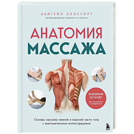 Массаж: лечебный, восточный, книга Анатомия массажа. Основы массажа нижней и верхней части тела с анатомическими иллюстрациями купить по скидке