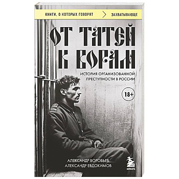 От татей к ворам: история организованной преступности в России.