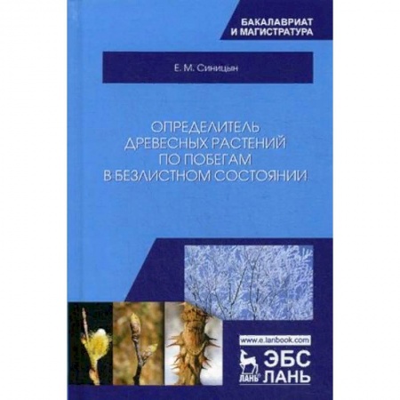 Биологические науки. Анатомия, книга Определитель древесных растений по побегам в безлистном состоянии. Учебное пособие купить по скидке