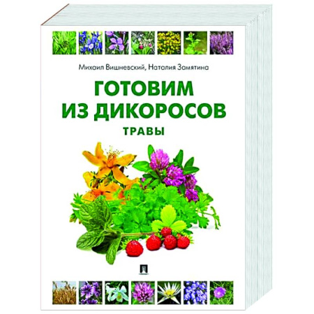 Общие вопросы по кулинарии, книга Готовим из дикоросов. Травы купить по скидке