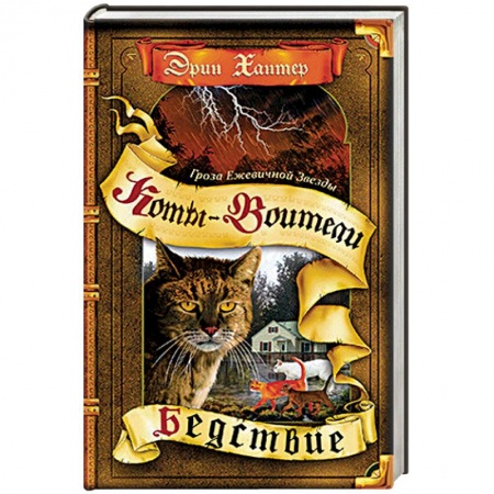 Мистика. Фантастика. Фэнтези, книга Бедствие купить по скидке