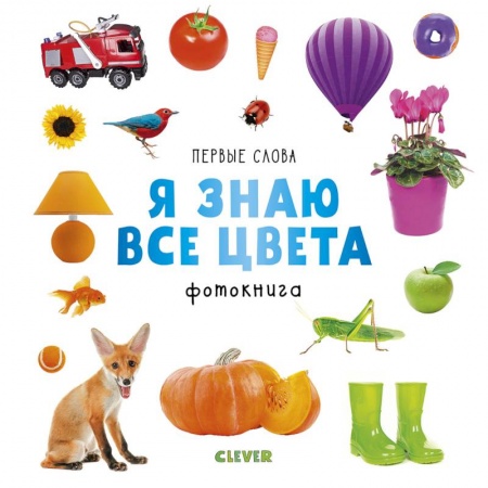 Знакомство с миром, развитие малыша, книга Первые слова. Я знаю все цвета. Фотокнига купить по скидке