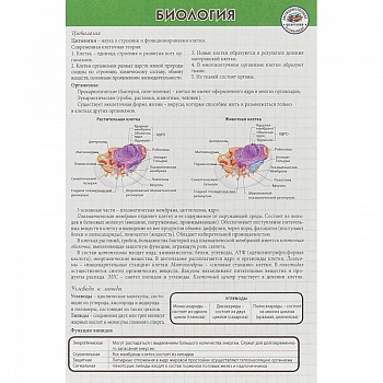 Биология. Шпаргалка Биология. Шпаргалка