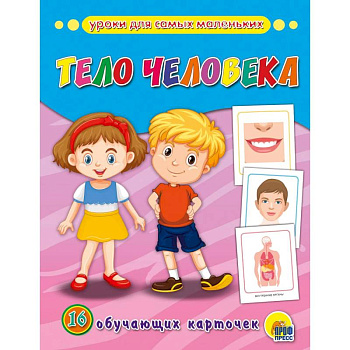 Обучающие карточки. Тело человека