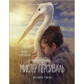 Штормик и мистер Персиваль