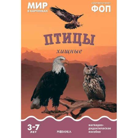 Животный и растительный мир, книга Птицы хищные: Наглядно-дидактическое пособие купить по скидке