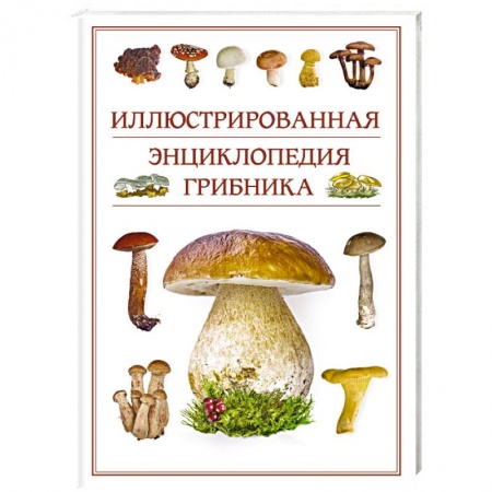 Грибы. Справочники. Определители, книга Иллюстрированная энциклопедия грибника. купить по скидке